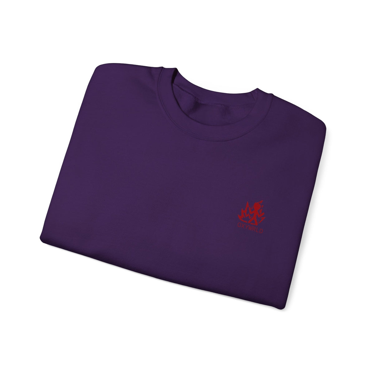 OXYWORLD Embroidered Crewneck Sweatshirt