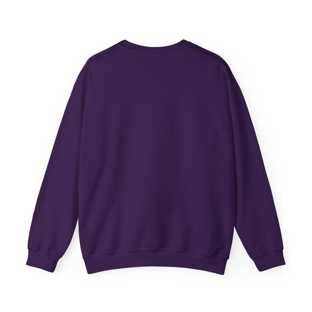 OXYWORLD Embroidered Crewneck Sweatshirt