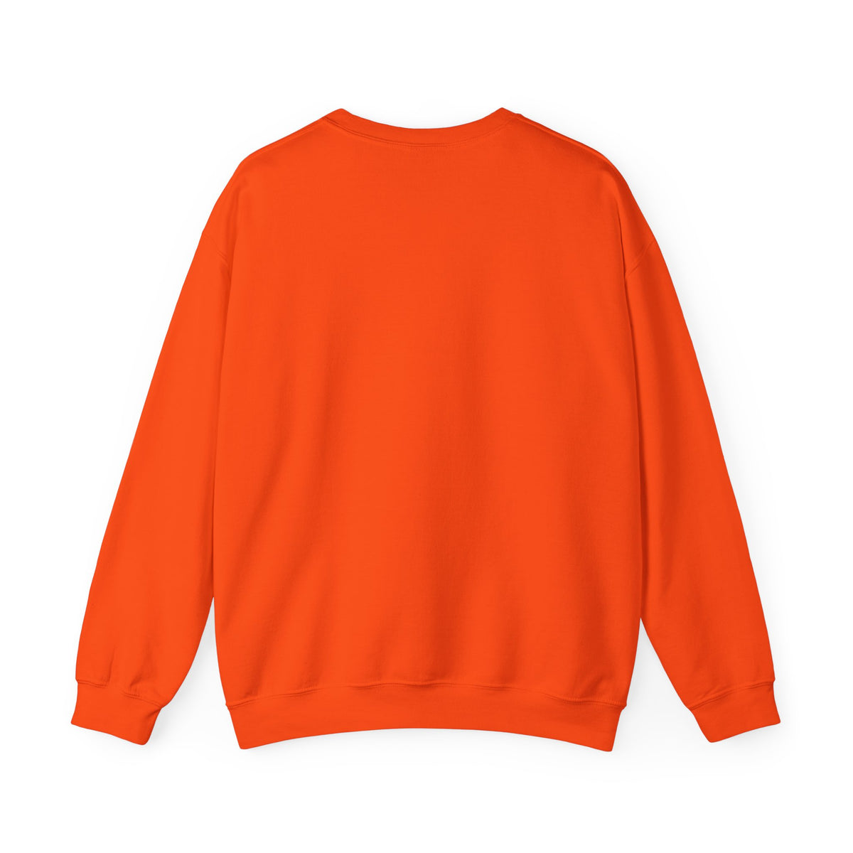 OXYWORLD Embroidered Crewneck Sweatshirt