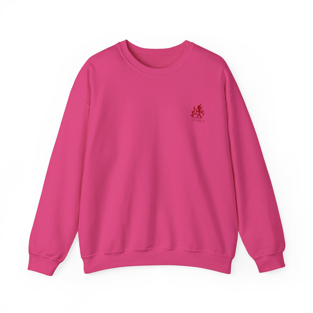 OXYWORLD Embroidered Crewneck Sweatshirt