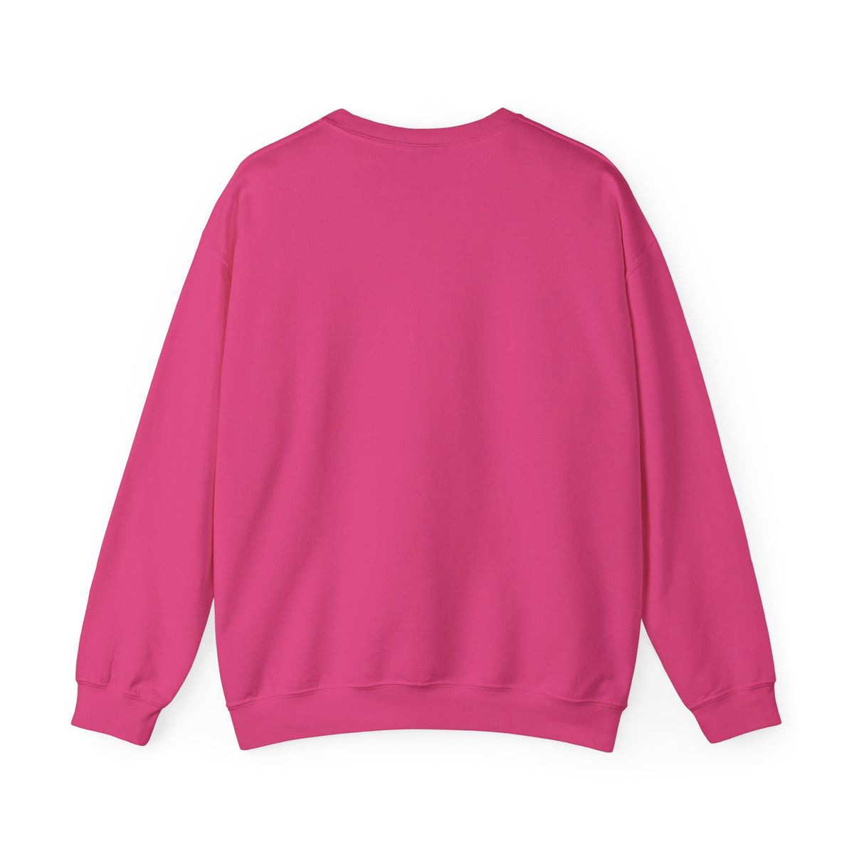 OXYWORLD Embroidered Crewneck Sweatshirt