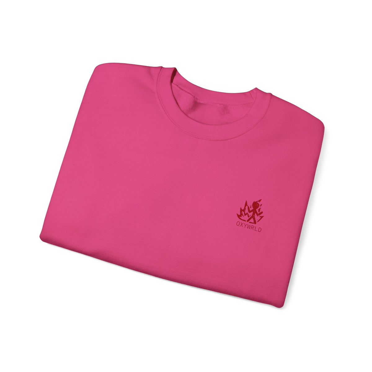 OXYWORLD Embroidered Crewneck Sweatshirt