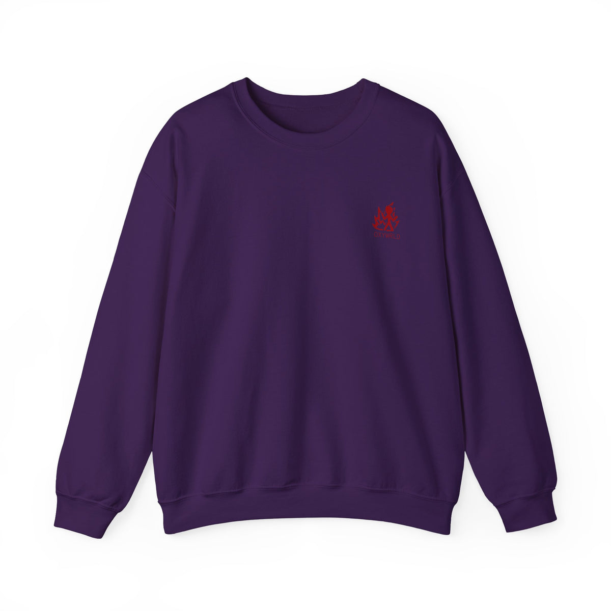 OXYWORLD Embroidered Crewneck Sweatshirt